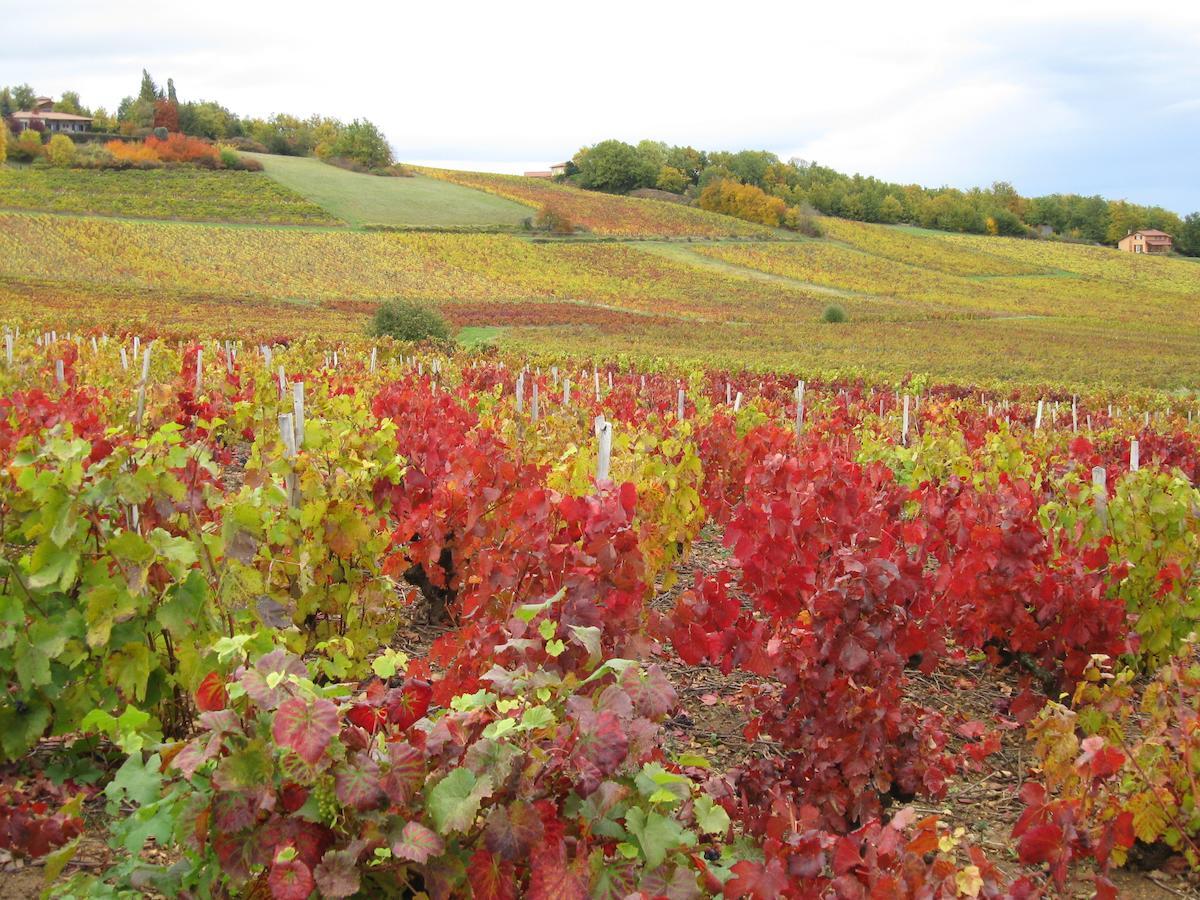 Bed & Breakfast Domaine Des Aloets 3*