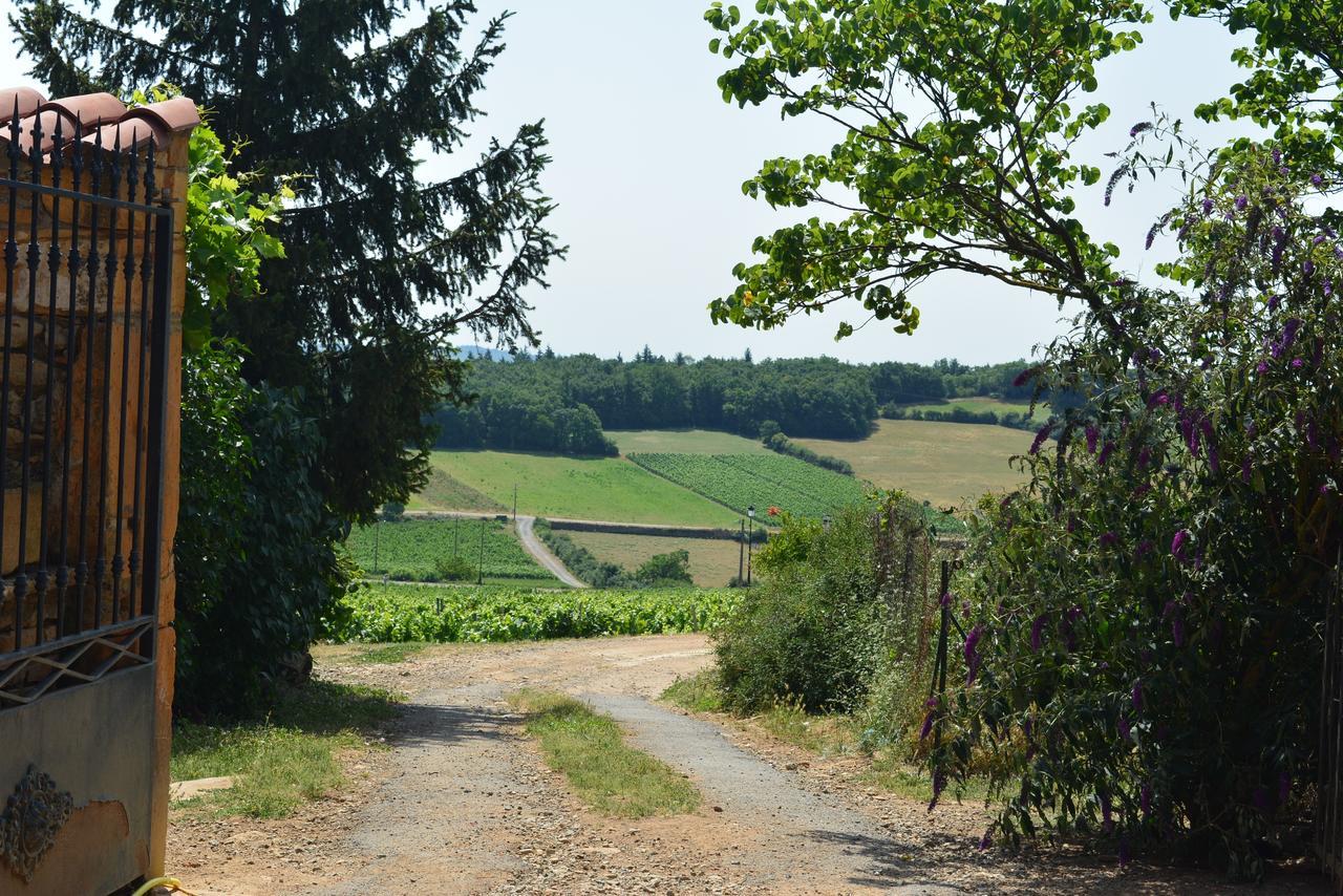 Domaine Des Aloets Moire